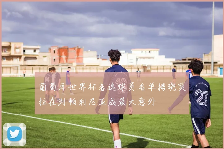 葡萄牙世界杯落选球员名单揭晓莫拉在列帕利尼亚成最大意外